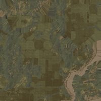 Asset preview